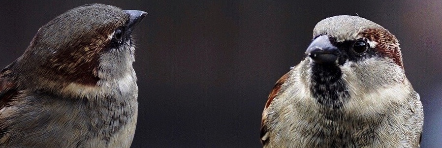 Entspannt netzwerken. Networking. Susanne Kleiner aus Freiburg im Breisgau.