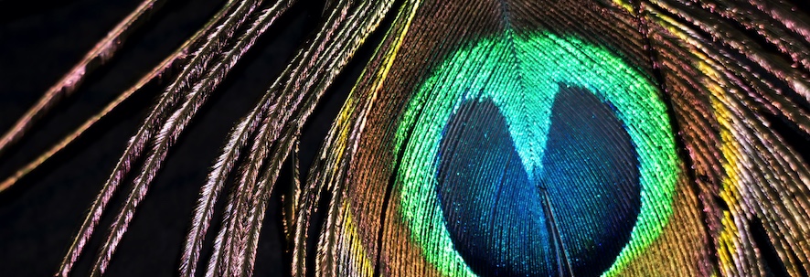 Tipps für Existenzgründer